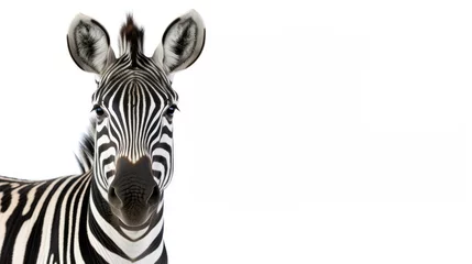 Fotobehang Zebra Isolated on White Background. Front Shot of African Gazing Animal Mammal © AIGen