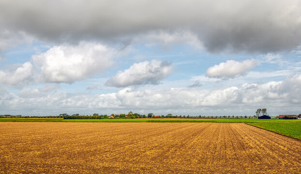 Agricultural polder landscape after harvest. The photo was taken on a cloudy day in late summer in the Dutch province of Zeeland.