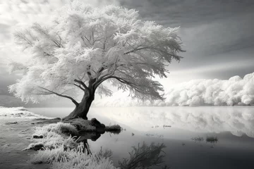 Foto auf Acrylglas Frosty Morning Landscapes - Generative AI © Sidewaypics