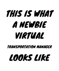 Newbie virtual transportation manager