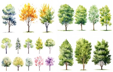 watercolor style illustration of various type of trees, spring and summer collection set isolated on white background, Generative Ai