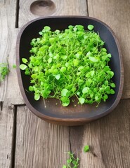 Obraz na płótnie Canvas Fresh pea microgreen sprouts on a black wooden table.