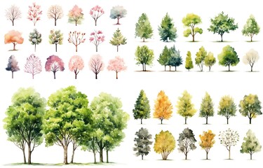watercolor style illustration of various type of trees, spring and summer collection set isolated on white background, Generative Ai