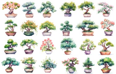 watercolor style illustration of various type bon-sai tree in pot or tray flower blossoming summer and spring, collection set isolated on white background, Generative Ai