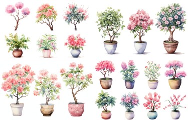 watercolor style illustration of various type blossoming pink flower pot azalea and hibiscus  summer and spring, collection set isolated on white background, Generative Ai - obrazy, fototapety, plakaty