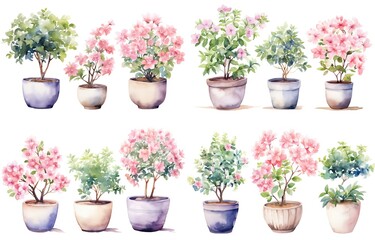 watercolor style illustration of various type blossoming pink flower pot azalea and hibiscus  summer and spring, collection set isolated on white background, Generative Ai