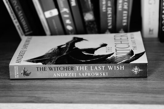Andrzej Sapkowski The Witcher The Last Wish novel book 