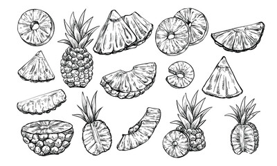 pineapple fruits handdrawn collection - obrazy, fototapety, plakaty