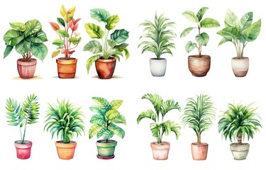 watercolor style illustration of various type of tropical foliage pot plant summer collection set isolated on white background, Generative Ai