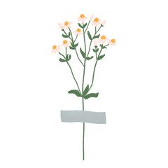 Washi tape with flowers. Boho plants. Beautiful hand drawn wild grass and flowers. Cute crafty decorations.
