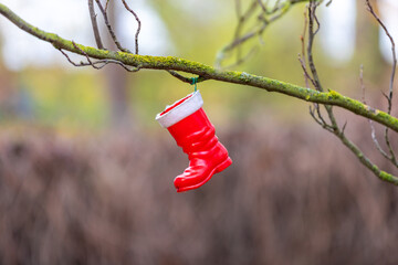 Ein Stiefel vom Nikolaus hängt allein an einem Ast im Herbst