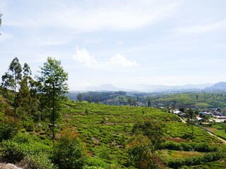 Obraz premium Nuwara Eliya au Sri Lanka