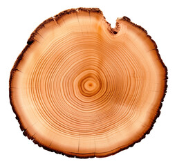 Round cut of wood/log. Cross section of the tree. View from above. Isolated on a transparent background.