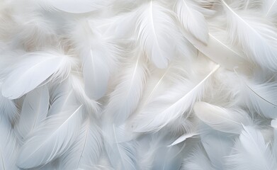 Ethereal Serenity: Unveiling the Purity of White Feathers on a Light Background Generative AI