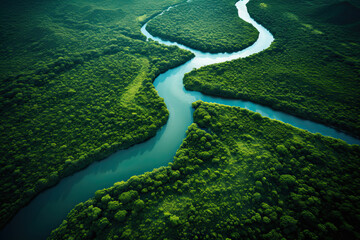 aerial shot of a river surrounded by tropical trees  - Powered by Adobe