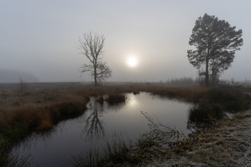 Spiegelung bei Sonnenaufgang im Hochmoor.