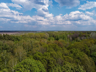 Blue cloudy skies over a dense forest, aerial view. Beautiful cloudy sky over the forest.