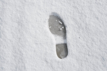 初雪に残された足跡