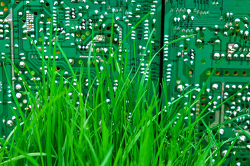 A green circuit board with many tiny components is juxtaposed with the natural element of grass.