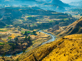 Overview of Colca Canyon and its stepped terraced fields, Peru