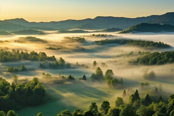 A magical morning in the green forest. Overlapping hills stretch to the horizon, and deep mist hangs in the hollows of the valley. Natural environment protection and natural healing concept - obrazy, fototapety, plakaty