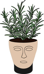 Flat 2D vecktor  Iluustration of Rosemarie herb plant in a head shaped flower pot