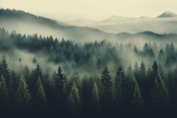 green forest. A deep fog drifts over the layers of mountains and deep forests. Natural environment protection and natural healing concept - obrazy, fototapety, plakaty