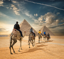 Camel caravan in Giza