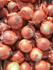 Golden onions