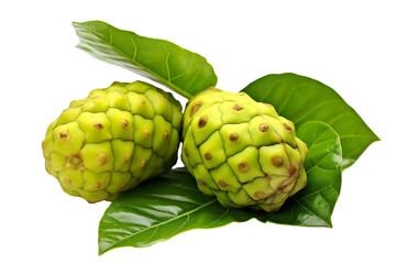 Noni fruit with leaf on white background. full depth of field