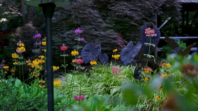 Japanese garden The famous gardens of Butchert on Victoria Island. Canada. The Butchart Gardens