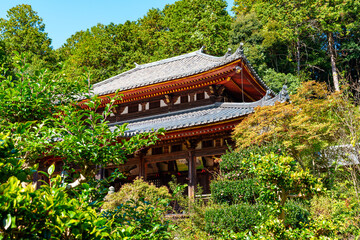 【奈良県】奈良市 弘仁寺 (2023/11/07 撮影)