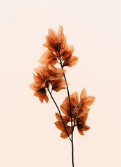 brown plant on white background created with Generative Ai