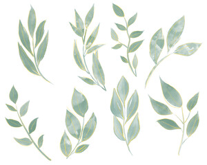 set of various watercolor leaf sticker illustrations, isolated on a transparent background