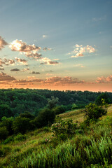 Red sun over the forest . Sun in the sky . Summer sunrise . Forest at the morning . Green forest . Beautiful landscape 