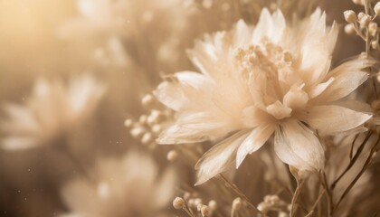 soft and dreamy beige flower textured background