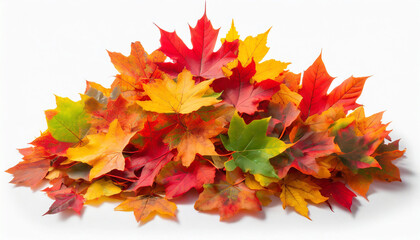 vibrant fall colors pile of autumn colored leaves isolated on white background a heap of different maple dry leaf red yellow orange and green foliage in the fall season