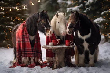 Fotobehang three ponys in christmas forest with blankets © Reischi