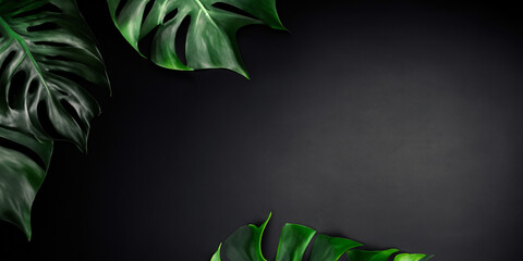 Deep rich background with monstera leaves. Juicy green leaves on dark background.Template,background,wallpaper with monstera leaves - obrazy, fototapety, plakaty