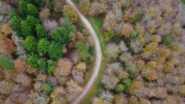 aerial view of idless woods near truro cornwall england uk 