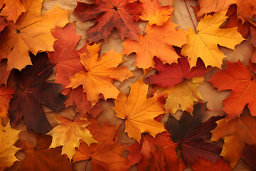 Naklejka na ściany i meble Autumn Infusion: Vivid Maple Overlays, Layered maple leaves in fall hues, Autumn Designers' Concept Art, Generative AI.