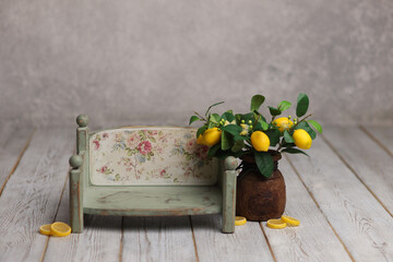 Vintage Gray Background Studio Portrait Backdrops Photo	
Bench with lemons for children.