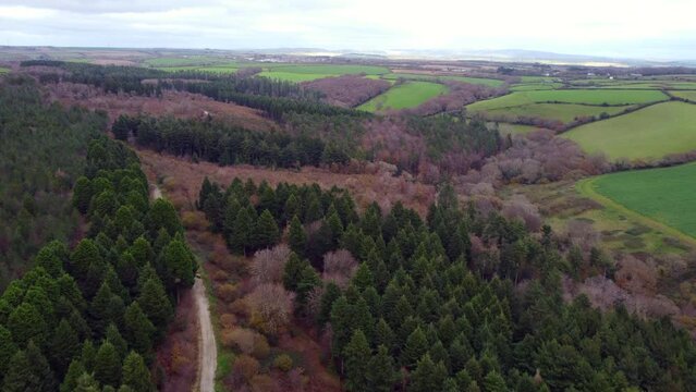 aerial view of idless woods near truro cornwall england uk 