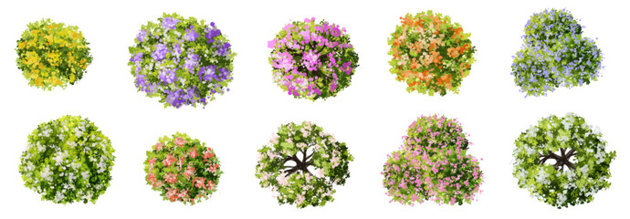 Vector watercolor blooming flower tree or forest top view isolated on white background for landscape plan and architecture drawing,plant for environment or garden,botanical element for exterior layout