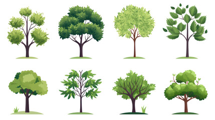 Collection of trees, illustration, isolated or white background - obrazy, fototapety, plakaty