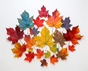 Exquisite Display of Fall's Beauty: Stunning Maple Leaves on a White Backdrop Generative AI