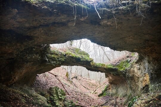 Stone bridges are a unique natural phenomenon. Created by wildlife. Forest landscape