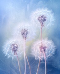 Stunning Vibrance: The Beauty of Four Dandelions against a Mesmerizing Blue Canvas Generative AI