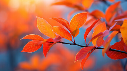 Autumn Foliage Delight: Vibrant Nature with Bright Orange Leaves