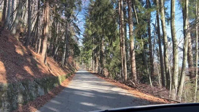 Self driving electric car driving on a rural macadam forest road in fall season